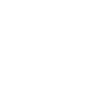white logo icon
