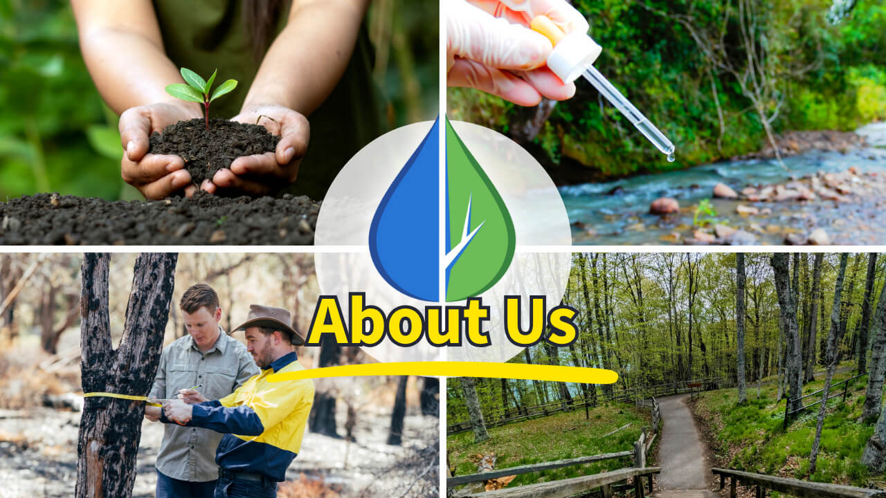about us about us