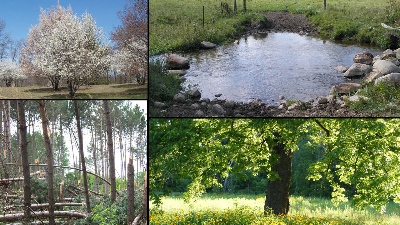 michigan forest water fund (1)