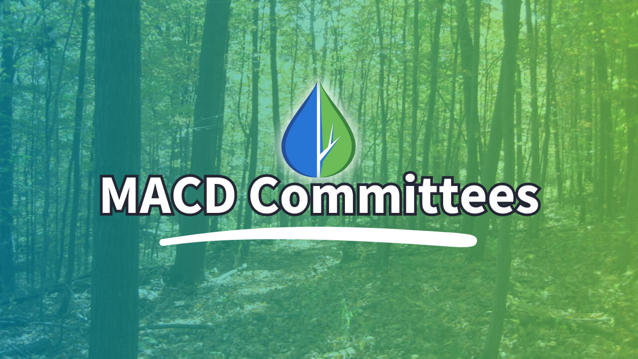 macd committee macd committee