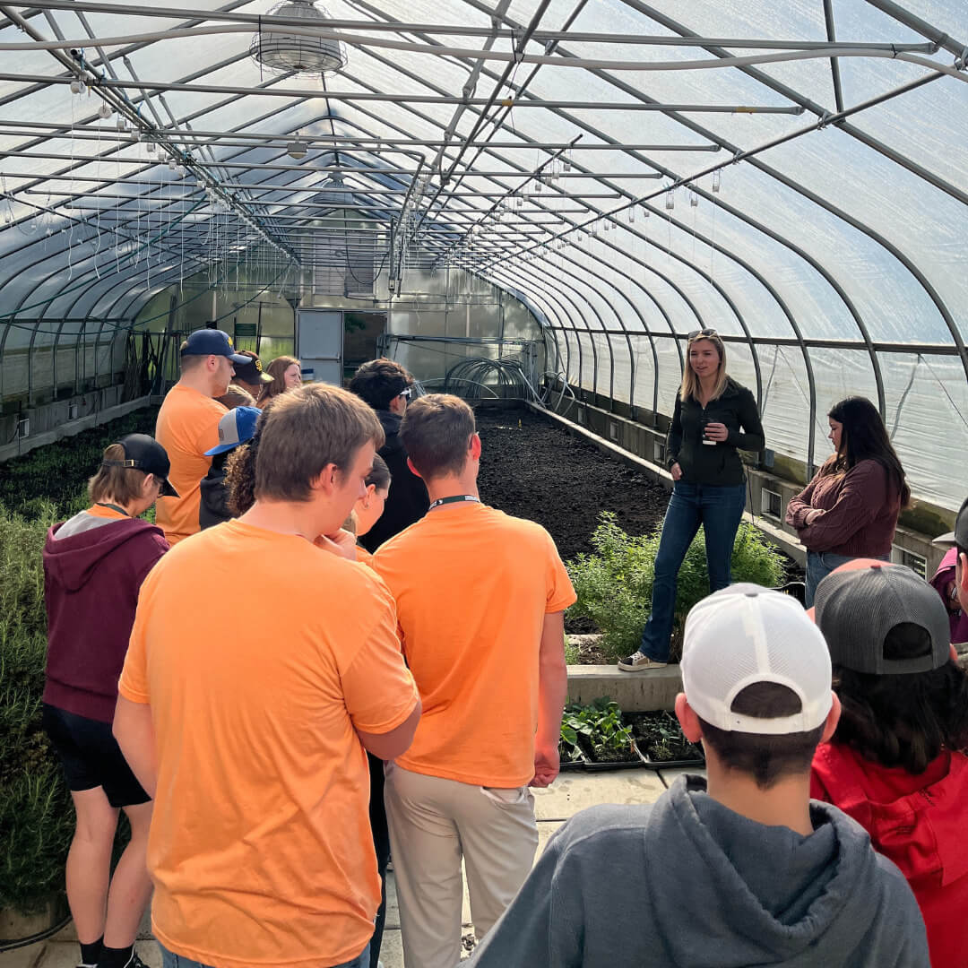 Greenhouse agriculture lesson