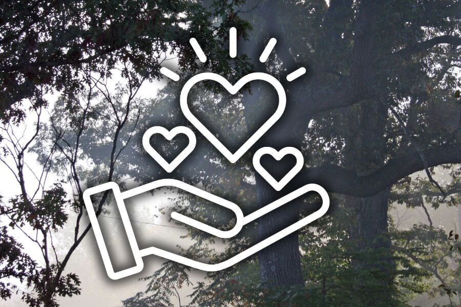 A graphic with a heart and hands icon representing a tax-deductible donation to support Michigan Conservation Districts.