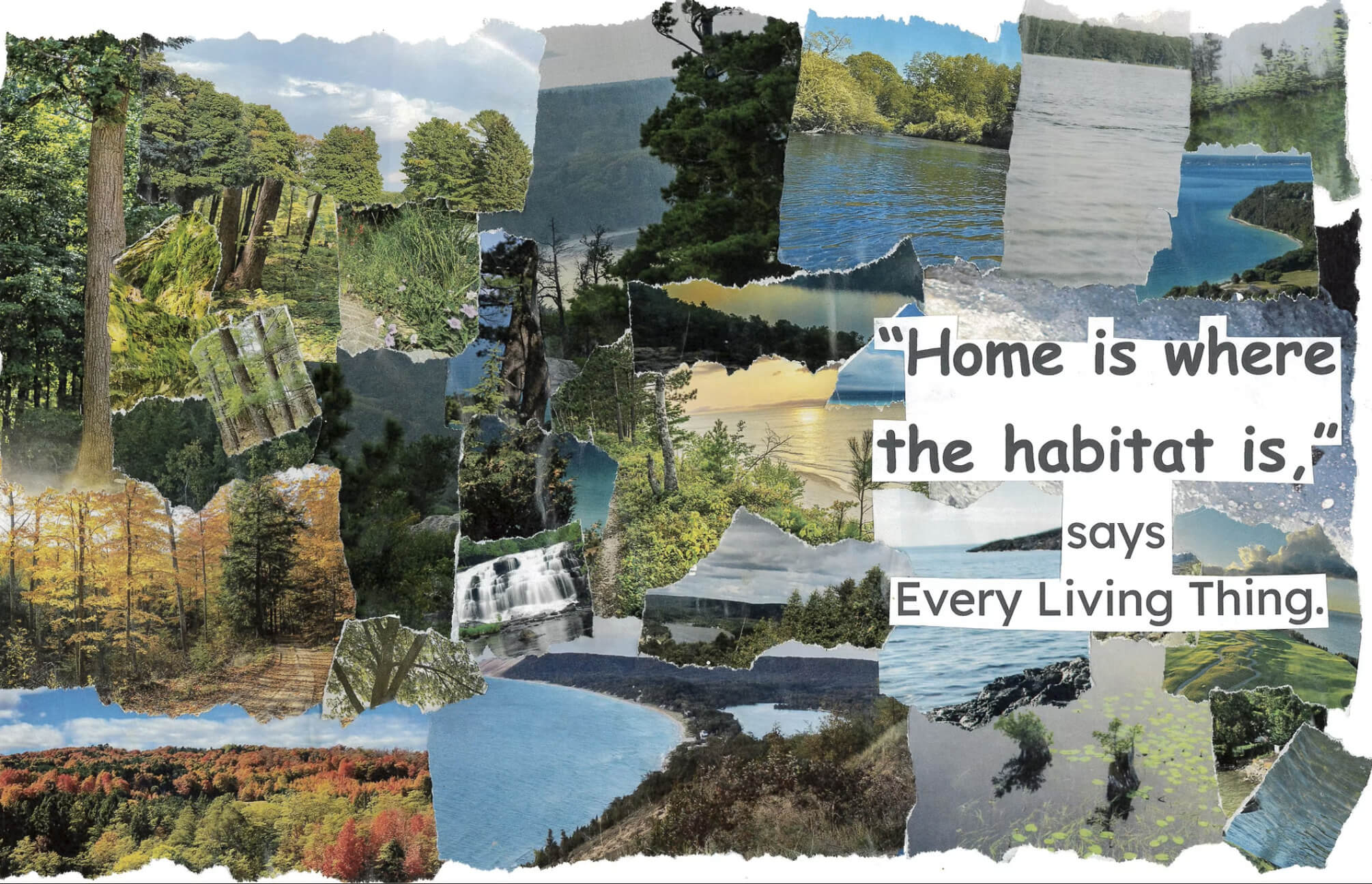 where the habitat is