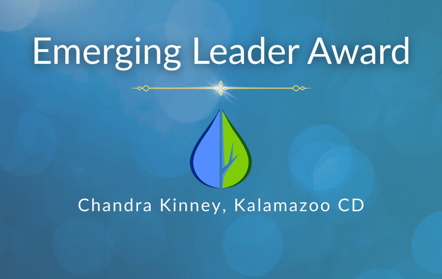 emerging leader award