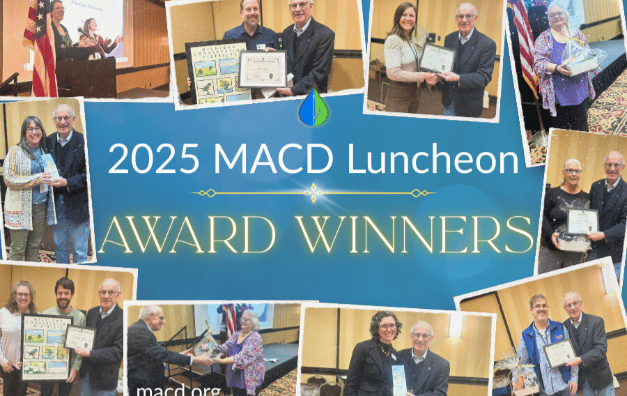 macd award winners