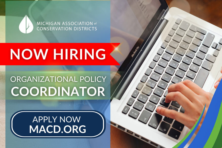 organizational policy coordinator