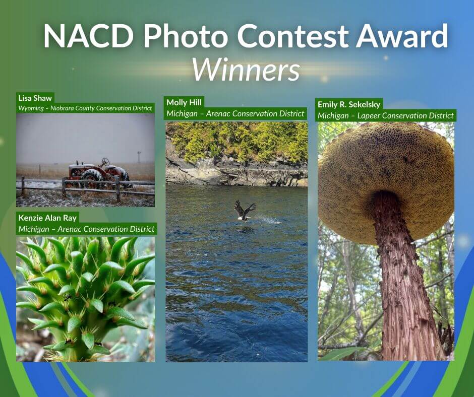 NACD Photo Contest Award Winners