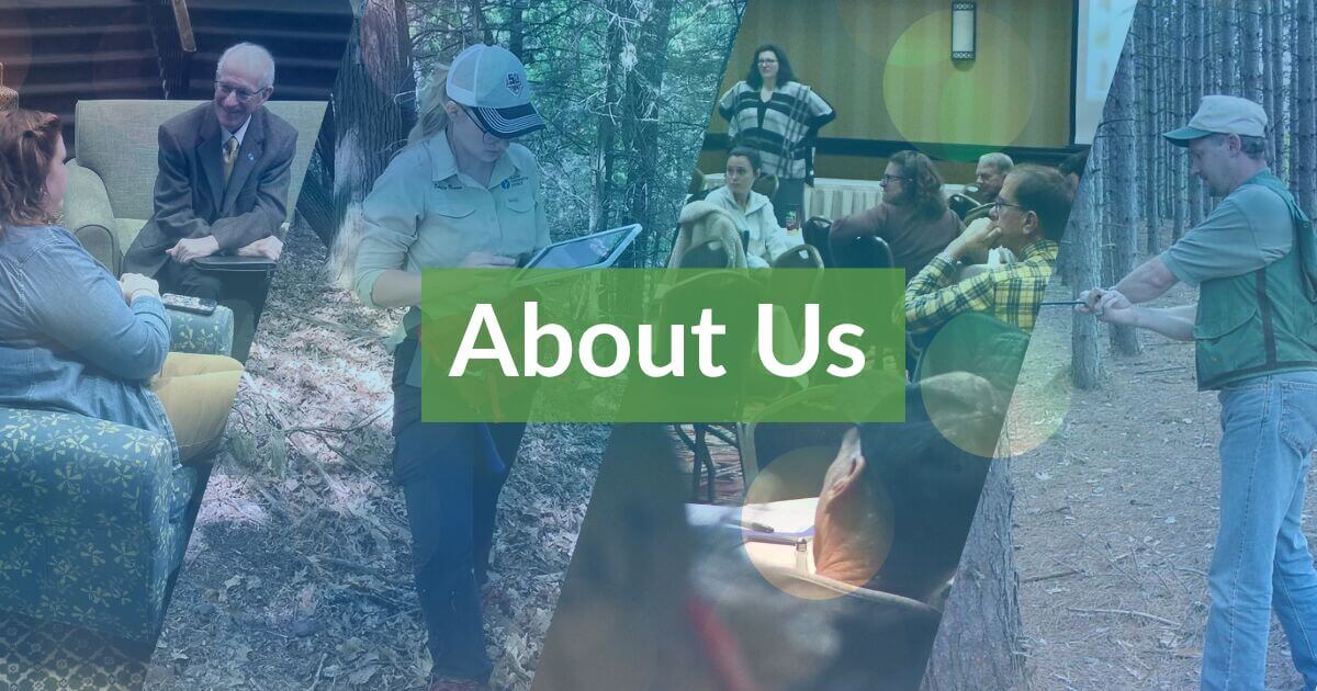about us collage hero image