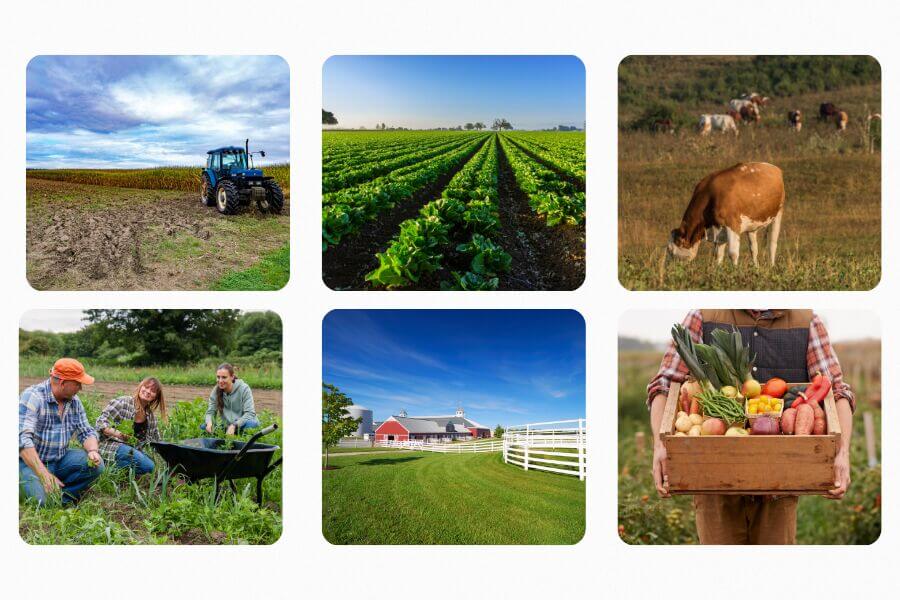 MCSFP Farm Collage representing MCSFP farmer support