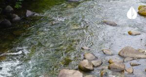 Montcalm County – Flat River Watershed Restoration (FRW)