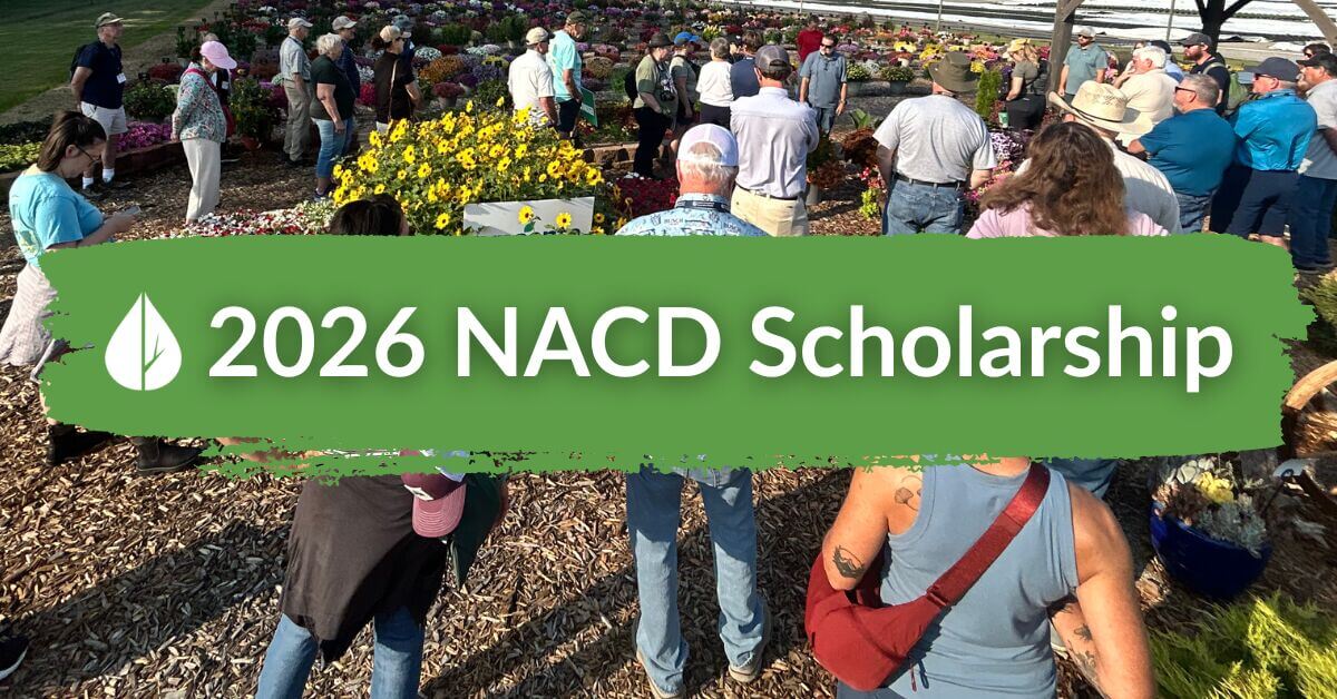 nacd summer meeting scholarship 2026 hero image