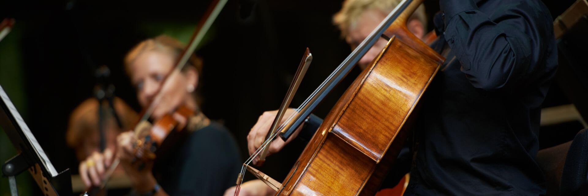 string instruments