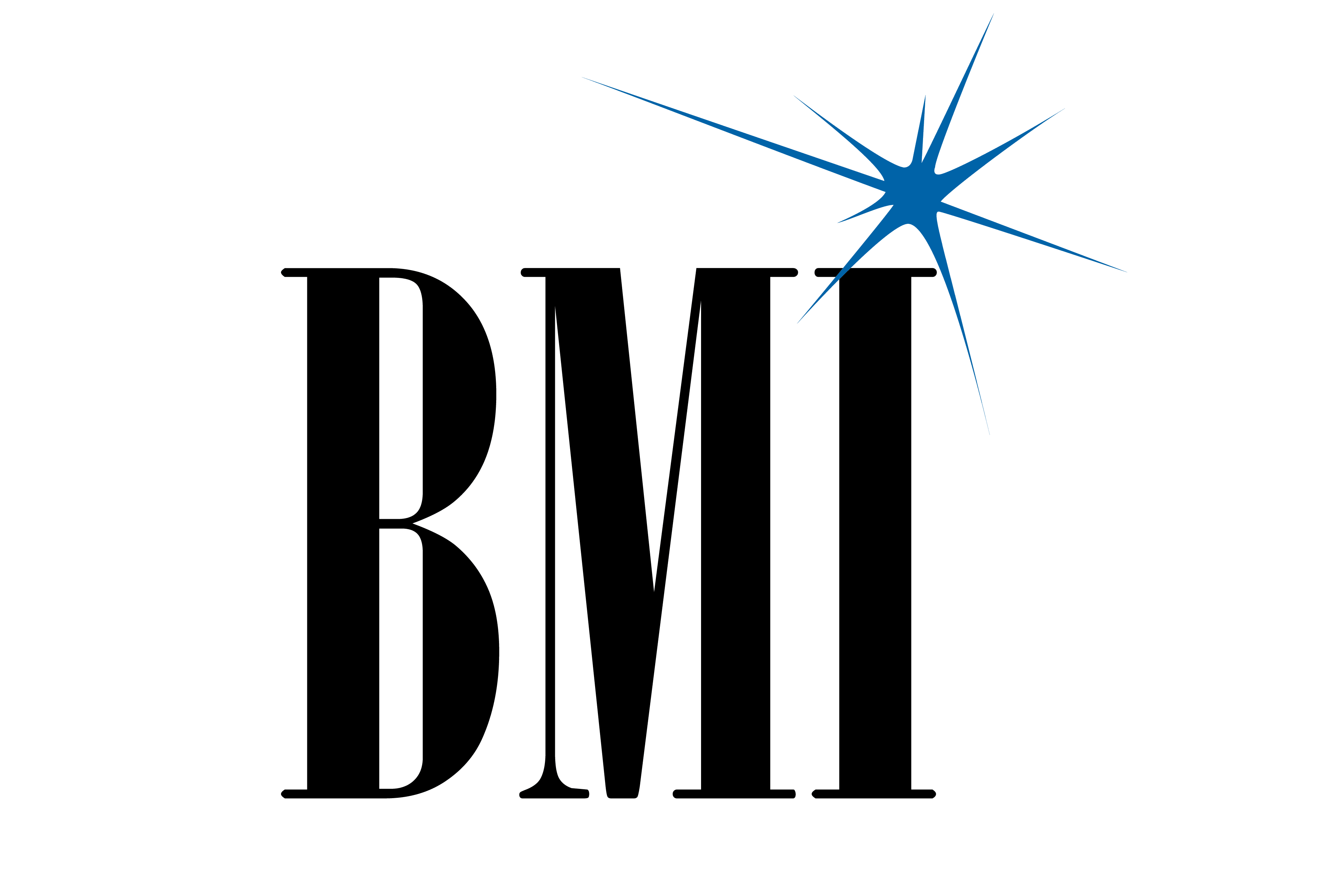 BMI_Logo_blackBlue (2)