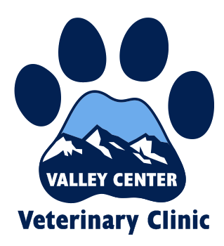 VC-Logo-Transparent-618d850dc6be8