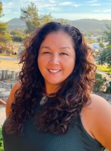 Julie Pincock VC Chamber Director Julie Pincock VC Chamber Director