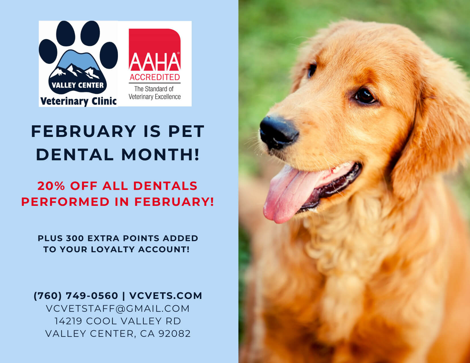 Postcard Front FINAL