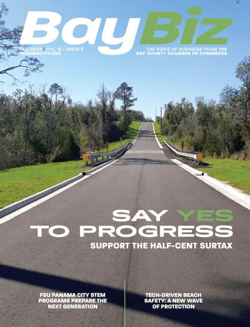 baybiz cover