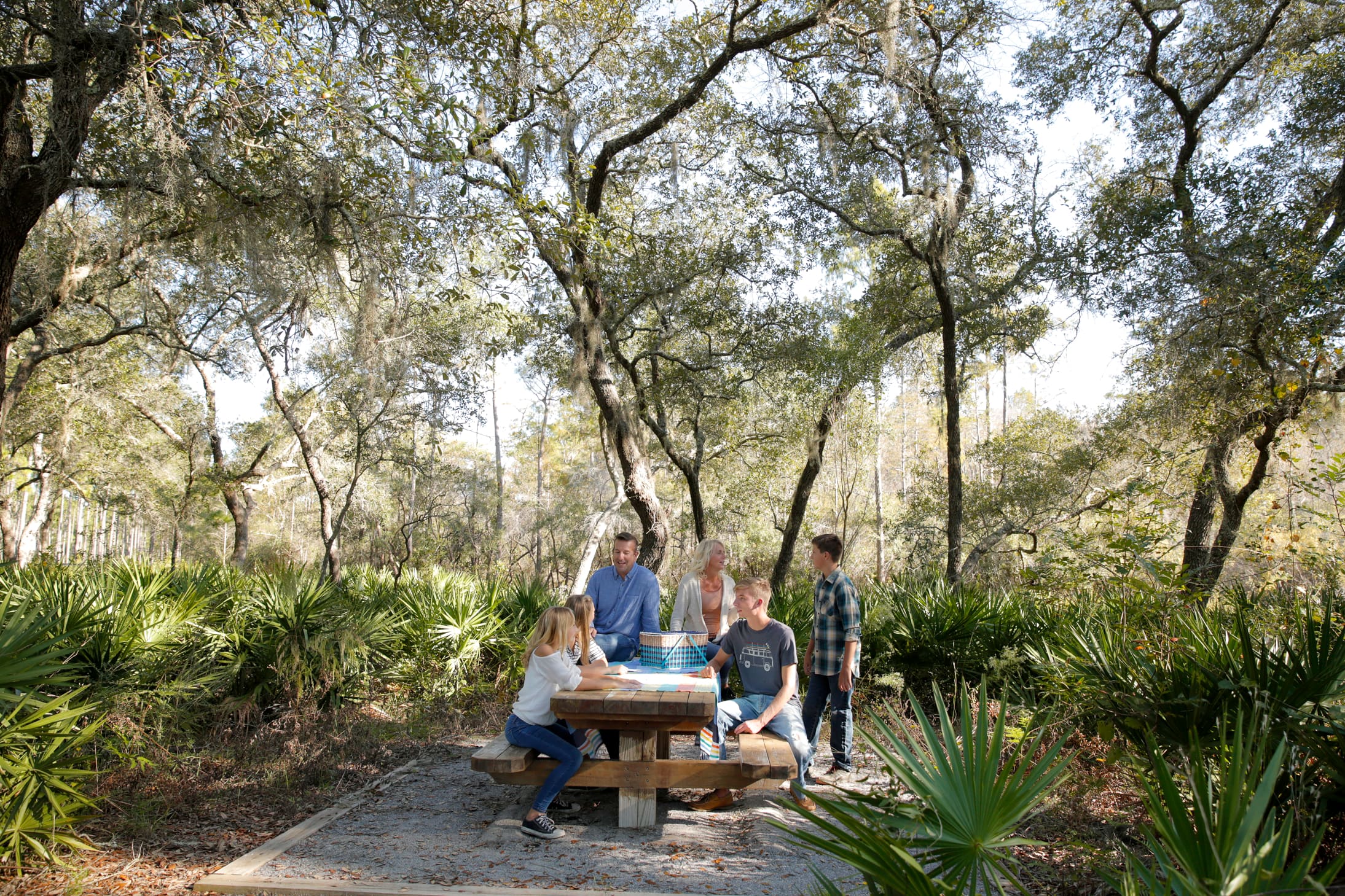 Family gathering at a picnic area surrounded by woods in Panama City Beach