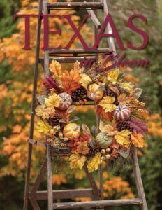 November 2024 Texas in Bloom