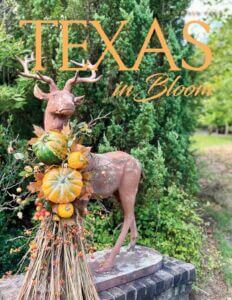 October 2024 Texas in Bloom