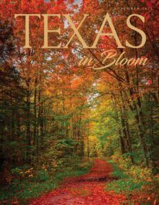 November 2023 Texas in Bloom