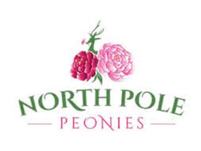 north-pole-peonies