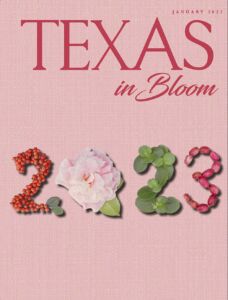 January 2023 Texas in Bloom