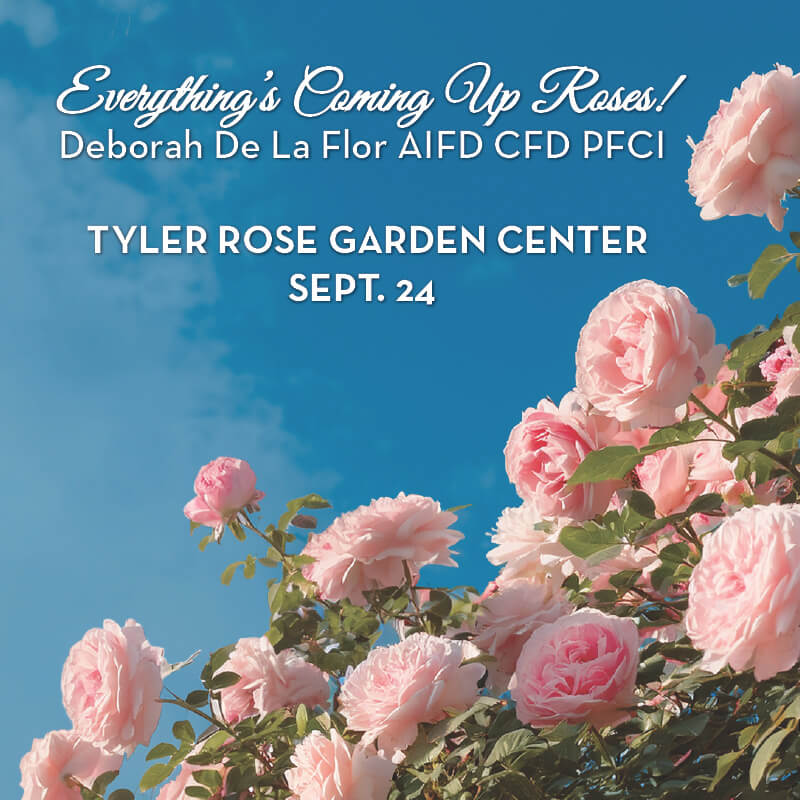 pink roses with blue sky