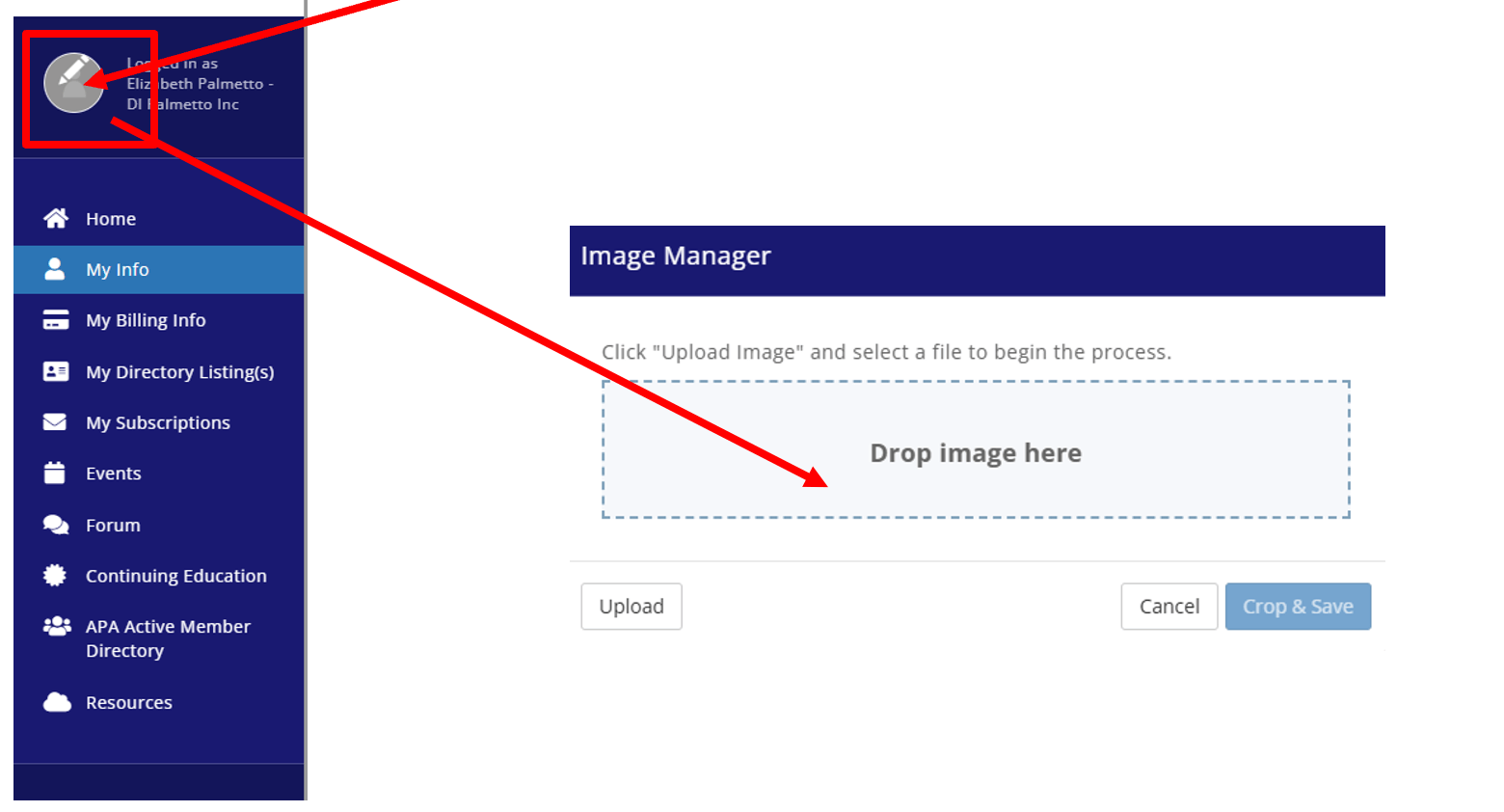 Arrows indicating where to upload your profile photo