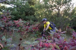Biking-w300 Biking