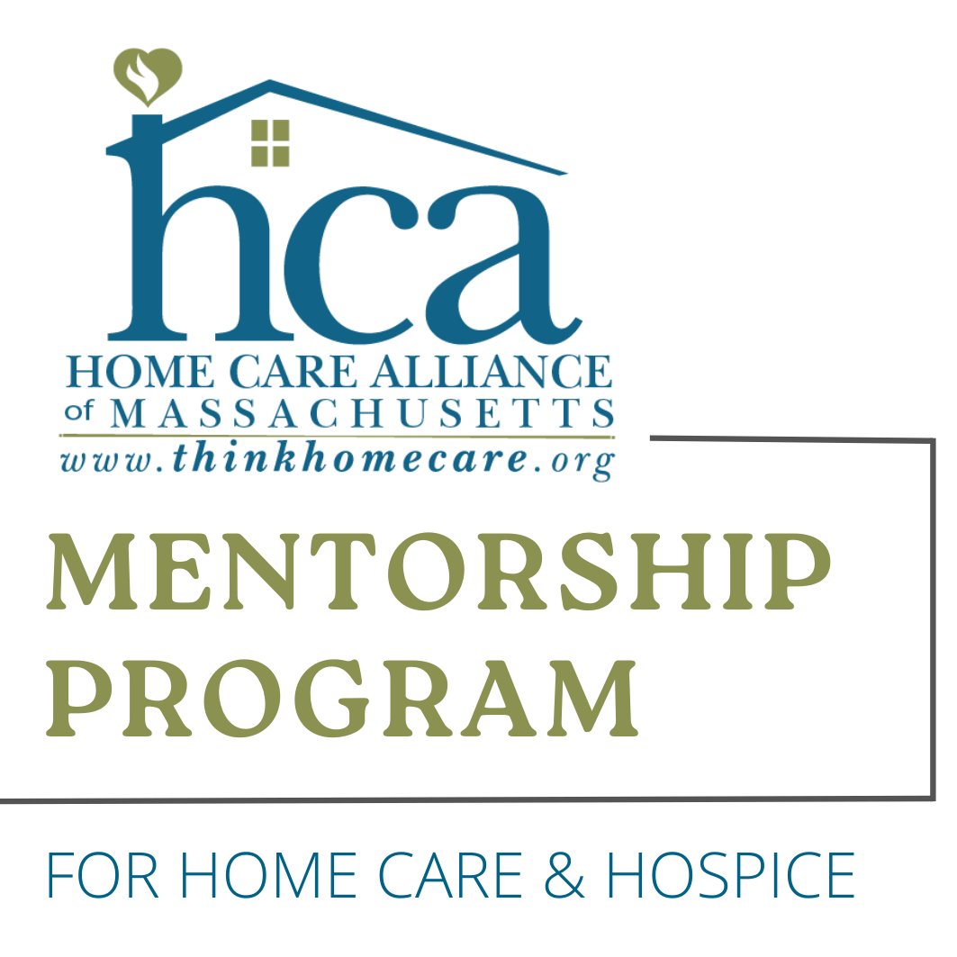 mentorship.aquare mentorship program