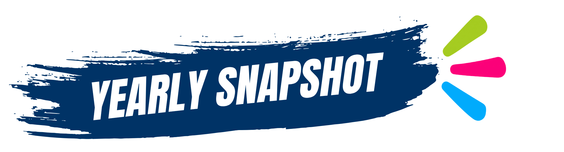 snapshot year