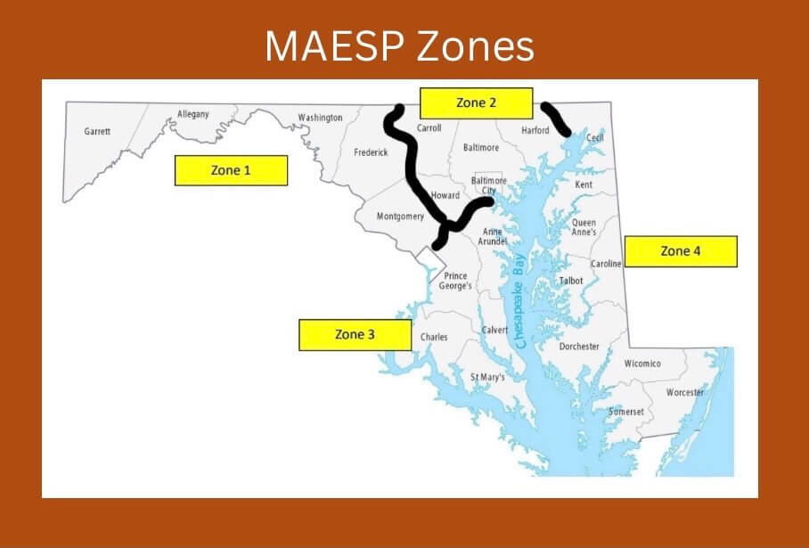 zone graphic website