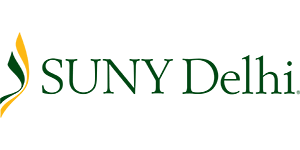 suny-delhi-logo