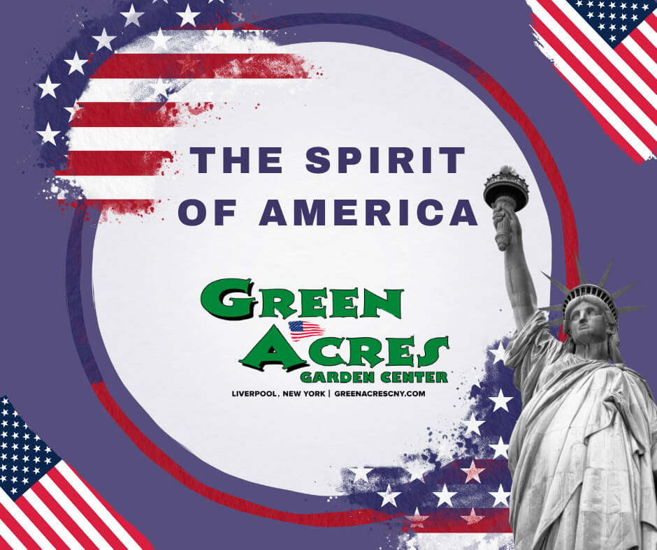 8 a.m. Saturday (17)