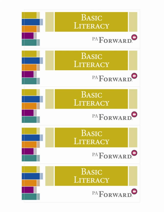 6x2_BASIC_CMYK_OUTLINE basic literacy graphic