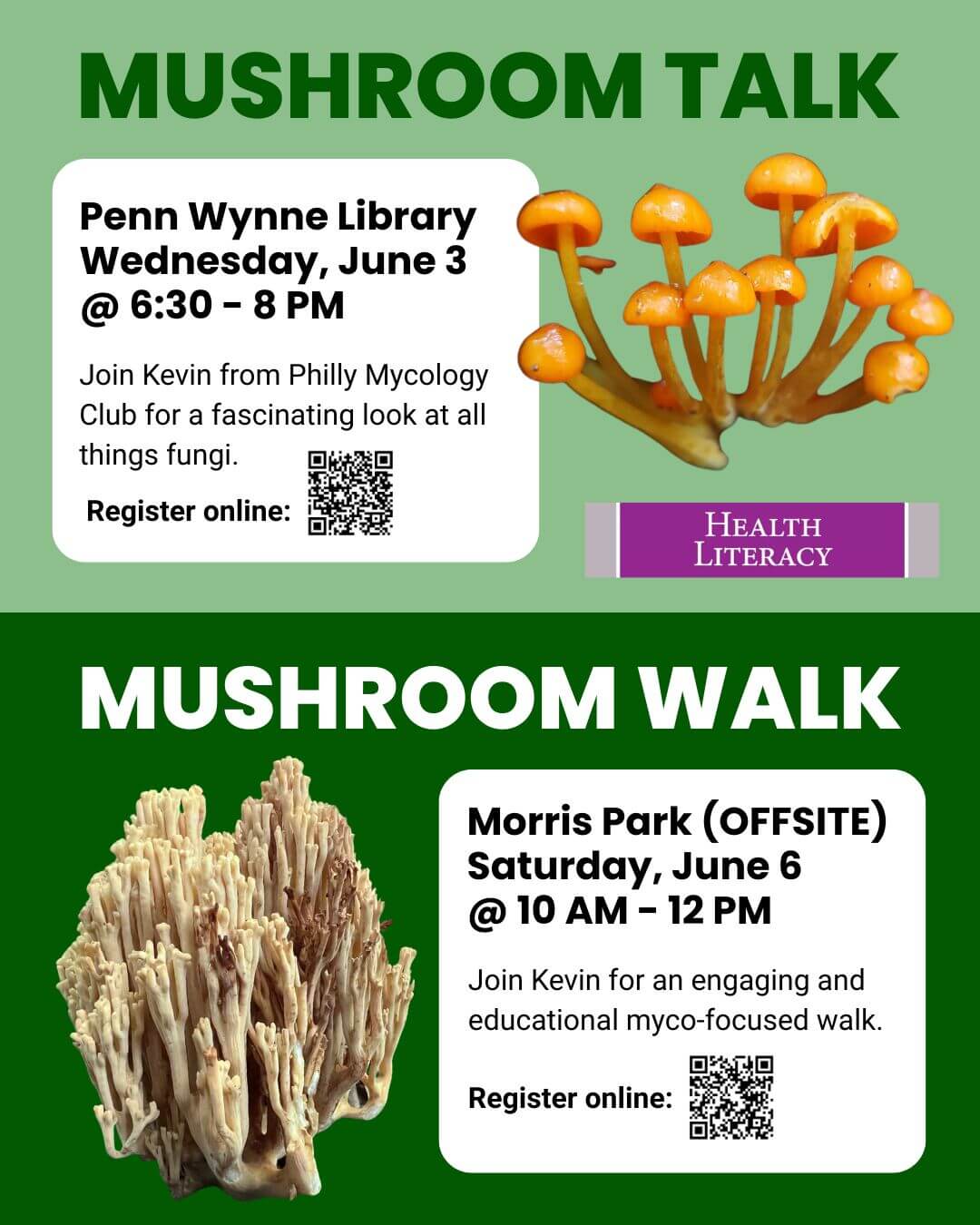 PennWynneLibrary1