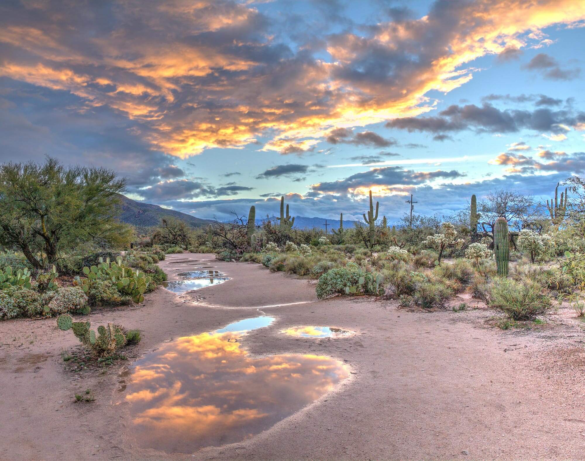 arizona scenic