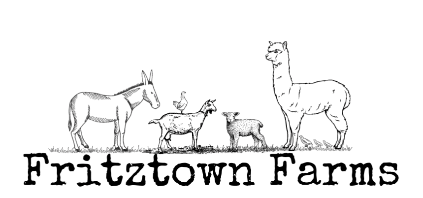 Fritztown