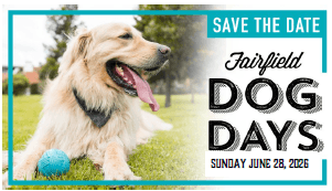 Dog Days Elements
