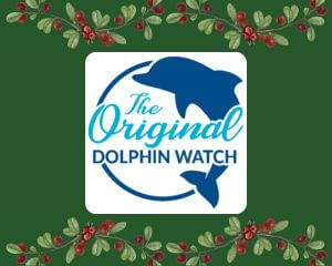 The Original Dolphin Watch