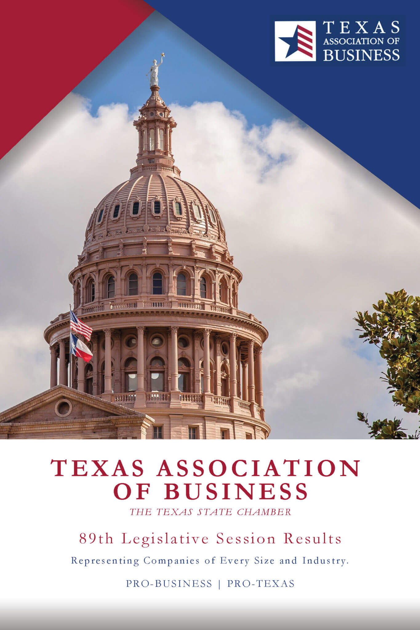 Texas-Association-of-Business_89th-Session-Results_6.3.2025_Page_01
