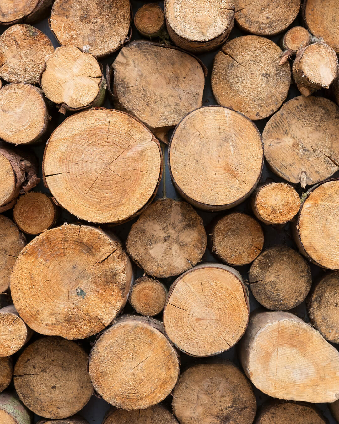 Wood