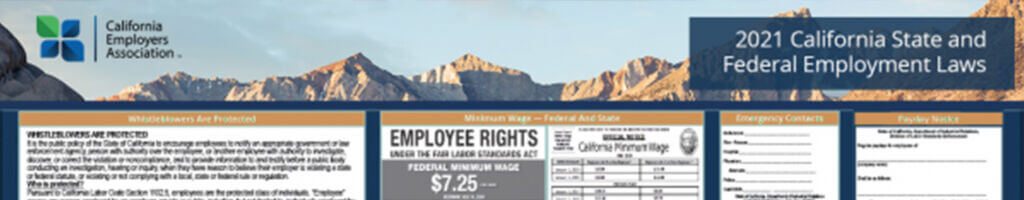 2021 labor law poster thumbnail