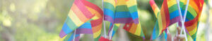 Pride Flags