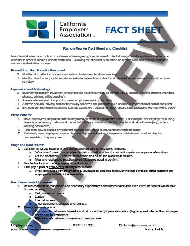 RemoteWorkFactSheet_preview Remote Work - Fact Sheet