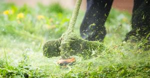 Weedwhacker
