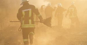 Wildfire 2019