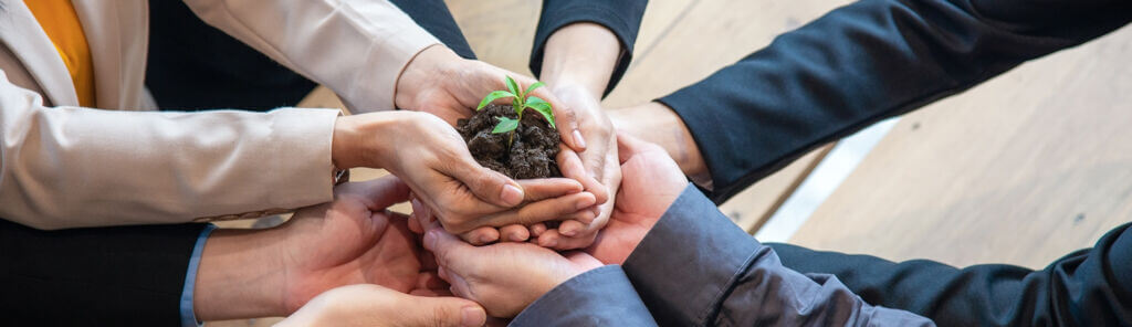 Hands adult business Team Work partnership harmony Cupping young