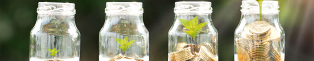 Jars of coins growing a plant